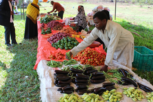 Be Healthy and Eat Only Fresh Produce